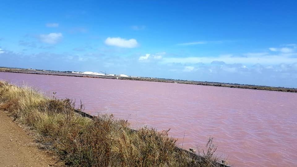 Apartmán Vue Imprenable Sur Le Port, Proche Plages ! La Grande Motte Exteriér fotografie